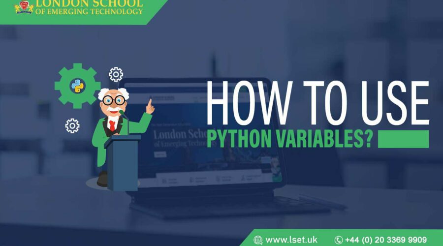 How to Use Python Variables
