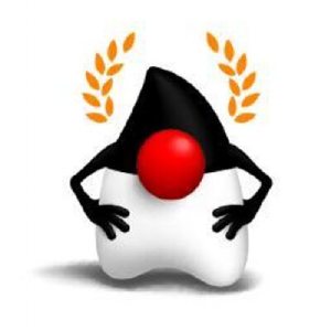 Java Champion